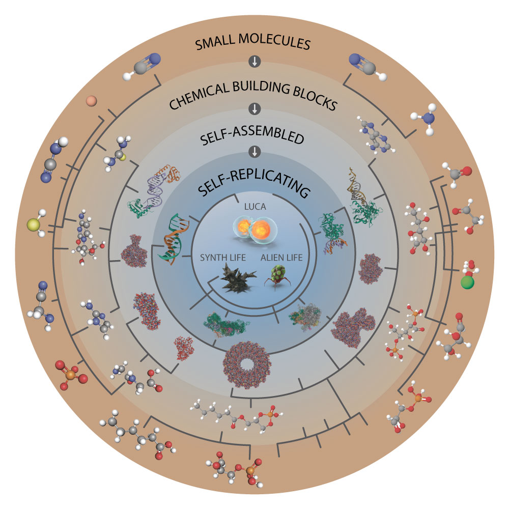 Chemical pathways to the origins of life. Chemical pathways along the transition from prebiotic chemistry to life: Chemical pathways connecting the inanimate state to the animate can only be confidently unravelled with detailed knowledge of planetary environments, and fresh analysis of concepts such as ‘aliveness’, ‘complexity’ and ‘life’.